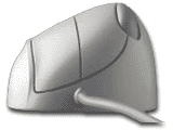 Side view of mouse